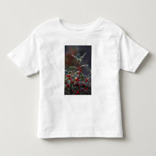 North America, United States, New England. Holly 2 Toddler T-Shirt
