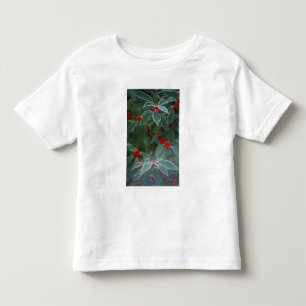 North America, United States, New England. Holly Toddler T-Shirt