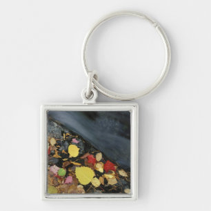 North America, US, ME, A stream in fall. Key Ring