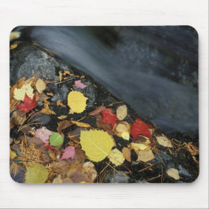 North America, US, ME, A stream in fall. Mouse Pad