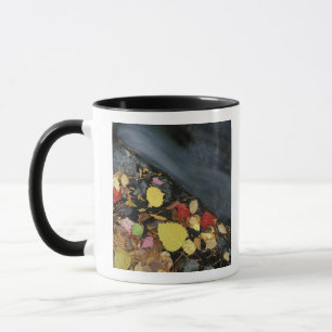 North America, US, ME, A stream in fall. Mug