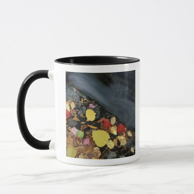 North America, US, ME, A stream in fall. Mug (Left)