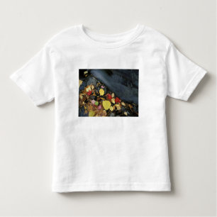 North America, US, ME, A stream in fall. Toddler T-Shirt