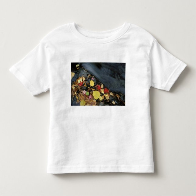 North America, US, ME, A stream in fall. Toddler T-Shirt (Front)