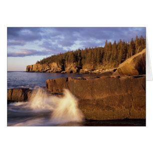 North America, US, ME, The rocky Maine coast.