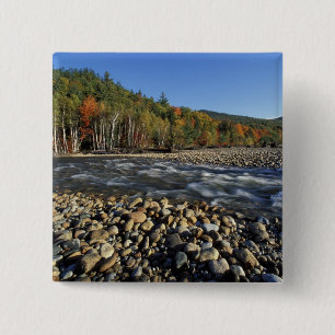North America, US, NH, A cobble beach on the 15 Cm Square Badge