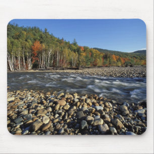 North America, US, NH, A cobble beach on the Mouse Pad