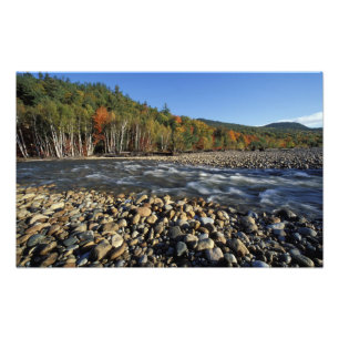 North America, US, NH, A cobble beach on the Photo Print