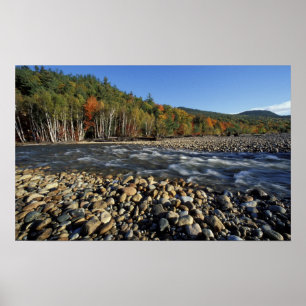 North America, US, NH, A cobble beach on the Poster