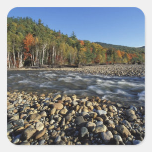 North America, US, NH, A cobble beach on the Square Sticker