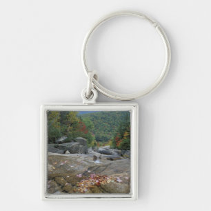North America, US, NH, Fall foliage in New Key Ring