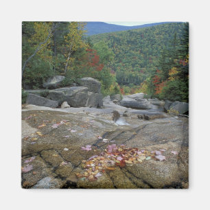 North America, US, NH, Fall foliage in New Magnet