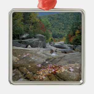 North America, US, NH, Fall foliage in New Metal Tree Decoration
