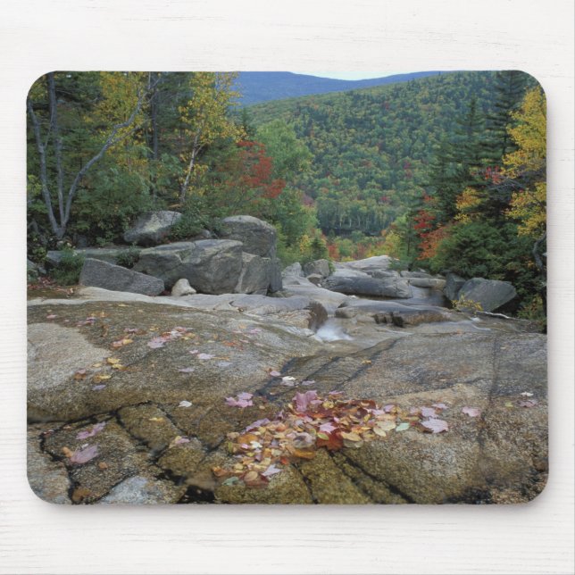 North America, US, NH, Fall foliage in New Mouse Pad (Front)
