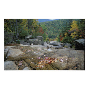 North America, US, NH, Fall foliage in New Photo Print