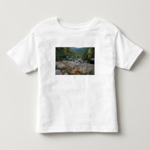 North America, US, NH, Fall foliage in New Toddler T-Shirt