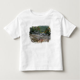 North America, US, NH, Fall foliage in New Toddler T-Shirt