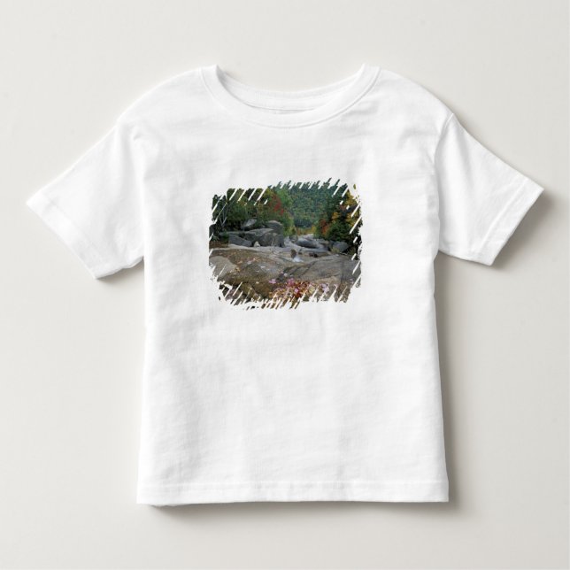 North America, US, NH, Fall foliage in New Toddler T-Shirt (Front)