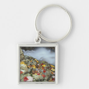 North America, US, NH, Fall in New England. Key Ring