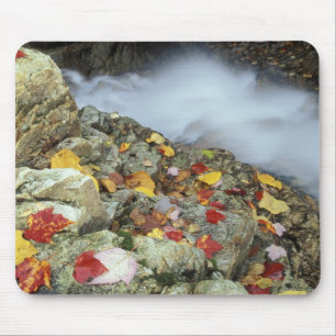 North America, US, NH, Fall in New England. Mouse Pad