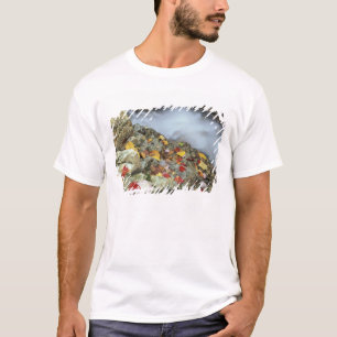 North America, US, NH, Fall in New England. T-Shirt