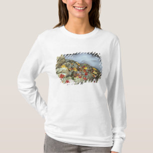 North America, US, NH, Fall in New England. T-Shirt
