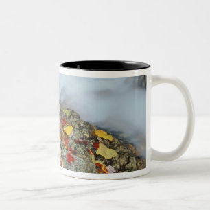 North America, US, NH, Fall in New England. Two-Tone Coffee Mug