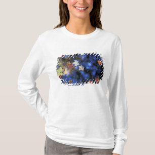 North America, US, NH, Leaves in a pond next T-Shirt