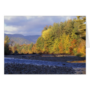 North America, US, NH, Saco River. Cobble