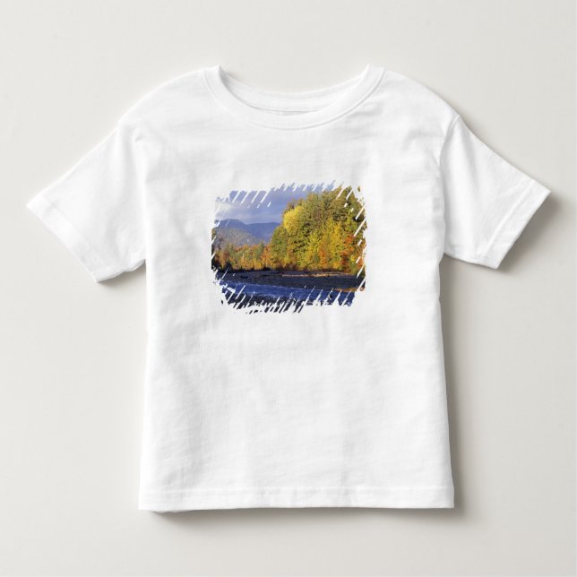 North America, US, NH, Saco River. Cobble Toddler T-Shirt (Front)