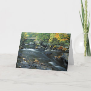 North America, US, NH, The bridge at Packers Card