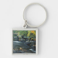 North America, US, NH, The bridge at Packers
