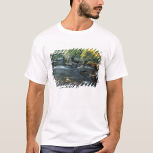 North America, US, NH, The bridge at Packers T-Shirt