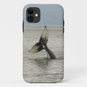 North America, USA, AK, Inside Passage. Humpback iPhone 11 Case