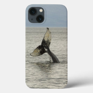 North America, USA, AK, Inside Passage. Humpback iPhone 13 Case