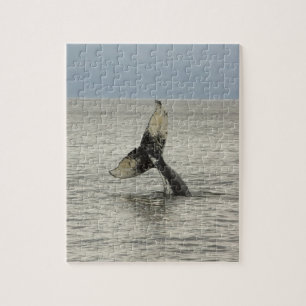 North America, USA, AK, Inside Passage. Humpback Jigsaw Puzzle