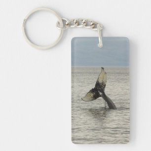 North America, USA, AK, Inside Passage. Humpback Key Ring