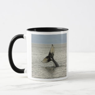 North America, USA, AK, Inside Passage. Humpback Mug