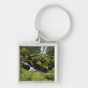 North America, USA, Alaska. A waterfall and Key Ring
