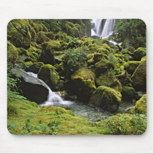 North America, USA, Alaska. A waterfall and Mouse Pad