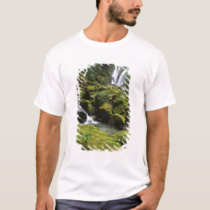 North America, USA, Alaska. A waterfall and T-Shirt