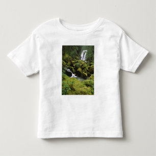 North America, USA, Alaska. A waterfall and Toddler T-Shirt