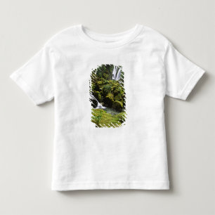 North America, USA, Alaska. A waterfall and Toddler T-Shirt