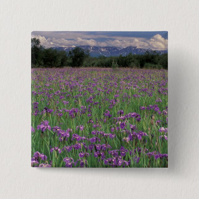 North America, USA, Alaska, Anchorage, Eklutna 15 Cm Square Badge (Front)