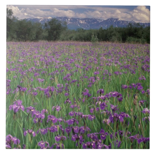 North America, USA, Alaska, Anchorage, Eklutna Ceramic Tile (Front)