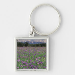 North America, USA, Alaska, Anchorage, Eklutna Key Ring