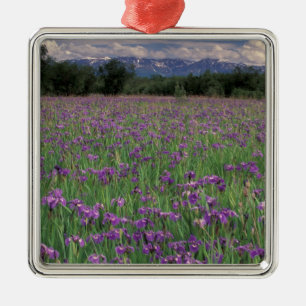 North America, USA, Alaska, Anchorage, Eklutna Metal Ornament