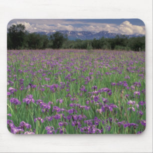 North America, USA, Alaska, Anchorage, Eklutna Mouse Pad
