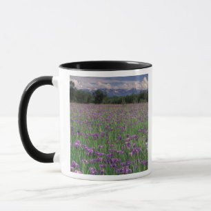 North America, USA, Alaska, Anchorage, Eklutna Mug