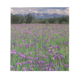 North America, USA, Alaska, Anchorage, Eklutna Notepad